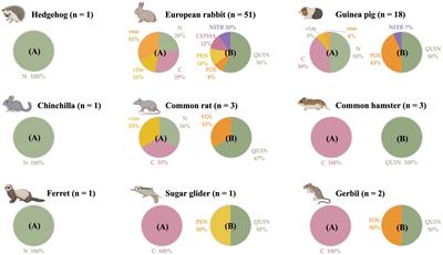 Non-traditional small companion mammals in Spain as reservoirs of antimicrobial-resistant Staphylococci